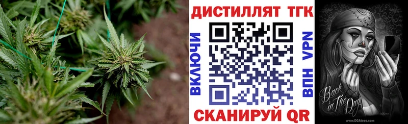 ТГК Wax  Каневская 